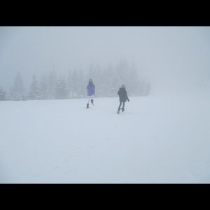 Meet your Posher, ClosetVictories